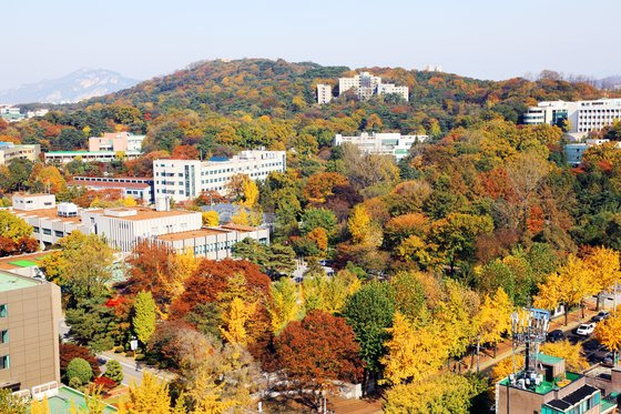 단풍에 물든 홍릉시험림(홍릉연구단지)의 모습. 사진 동대문구