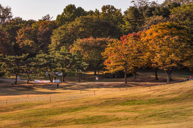 올림픽공원은 단풍이 넓은 잔디밭과 어우러져 더 색다른 모습으로 다가온다(서울관광재단 제공)