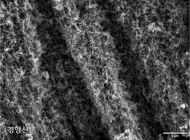 버려진 일회용 마스크에서 추출한 탄소나노튜브를 전자현미경으로 확대해 촬영한 모습. 탄소나노튜브는 랜선으로 부르는 ‘이더넷 케이블’ 등에 들어간다. 영국 스완지대 제공