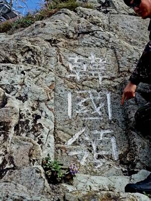 독도 정상 ‘한국령(韓國領)’이라 음각된 표지석 아래 연보라빛 독도 해국이 ‘인장(印章)’처럼 박혀 있다. 2013년 10월22일 촬영