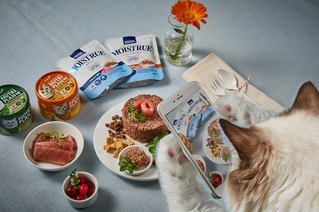 동원F&B의 펫푸드 전문 브랜드 '뉴트리플랜' 제품들. [사진 출처 = 동원F&B]