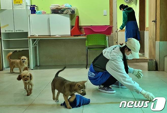 그룹 우주소녀 설아와 은서가 23일 경기 용인시 한 동물보호소에서 진행된 내추럴발란스 블루엔젤봉사단에 참여해 봉사활동을 하고 있다. ⓒ 뉴스1 최서윤 기자