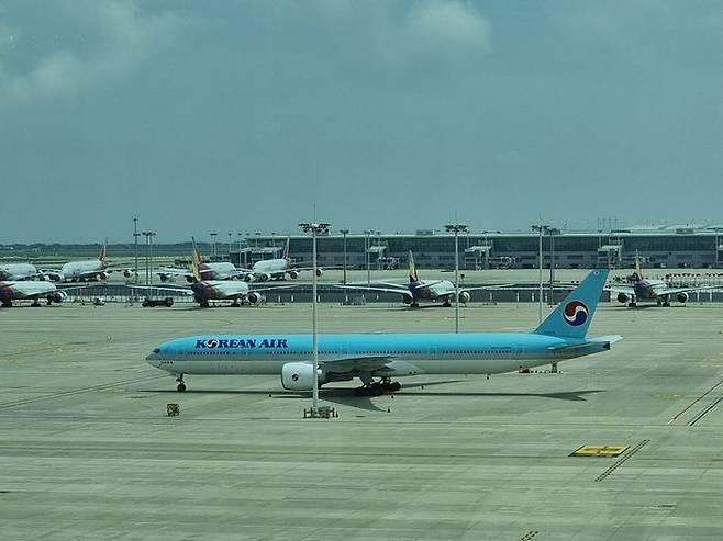 손주들을 미국으로 떠나보내는 인천공항ⓒ