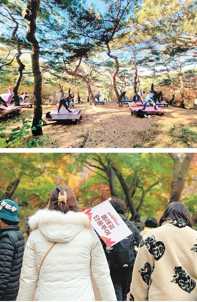 둘레길에서 요가(윗쪽)와 걷기 투어를 즐기는 시민들의 모습.