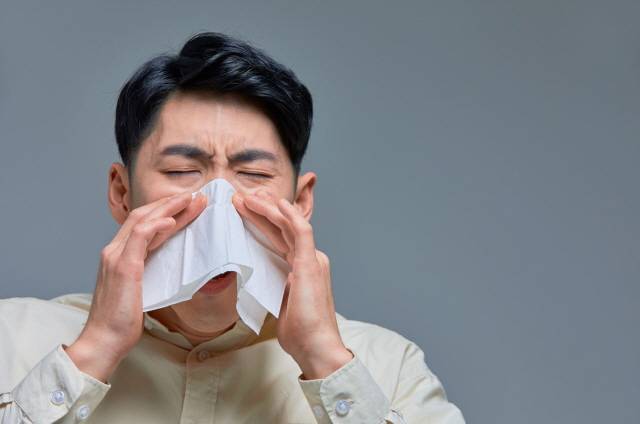 2주 이상 콧물이 나온다면 단순 감기보단 부비동염(축농증)일 가능성이 크다./사진=게티이미지뱅크