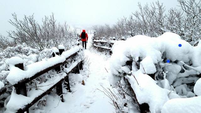 ▲ 지난 24일 17년 만에 ‘10월 대설특보’가 내려진 설악산이 한때 입산통제가 됐으나 이날 오후 4시부터 입산이 재개됐다. 25일 오전 설악산 대청봉에 오른 등산객들이 가을 설경을 만끽하고 있다. 김부오 강원도민일보 객원기자
