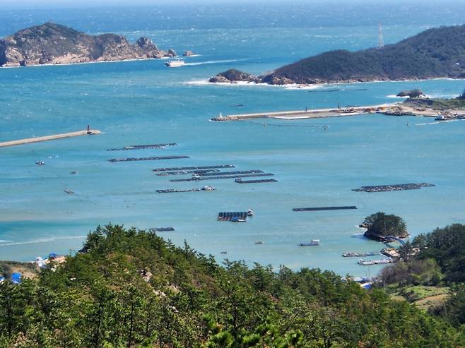 신안 흑산항 내  전경.