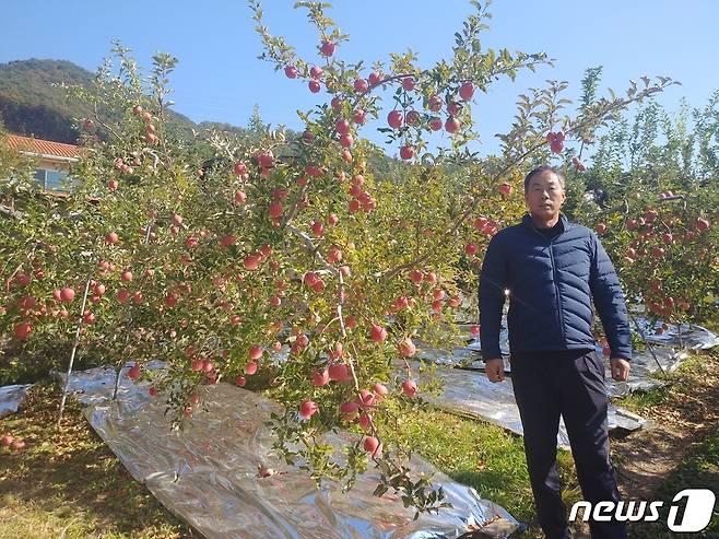 26일 충북 충주시는 충주사과 홍보를 위해 사과 명인 4명을 선정했다고 밝혔다. 사진은 동량면 전상훈씨.(충주시 제공)2022.10.26/뉴스1