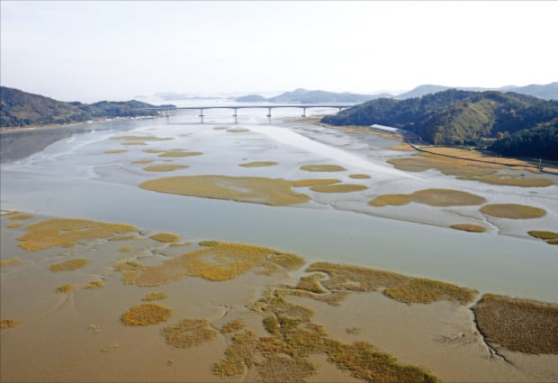 전남 보성군이 ‘국가갯벌해양정원’ 사업을 추진하는 여자만 갯벌 전경. 2024부터 2185억원을 투입한다.  보성군 제공