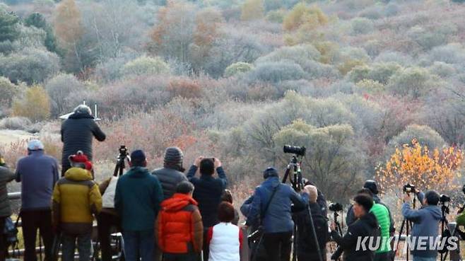 26일 '비밀의 정원' 주변에는 이날 새벽에 내린 서리가 쌓여 한 폭의 그림을 연출하고 있는 가운데 전국 곳곳에서 사진작가들로 북적였다.(인제군청 제공)