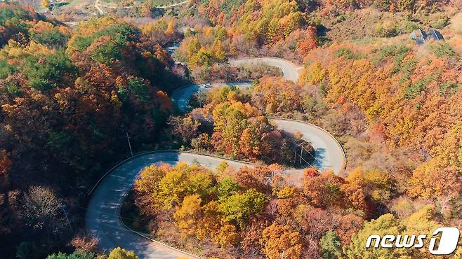 충북 영동군 상촌면 고자리와 용화면 조동리를 잇는 '도마령'(刀馬岺·해발 840m). (사진은 기사 내용과 무관함) / 뉴스1 ⓒ News1