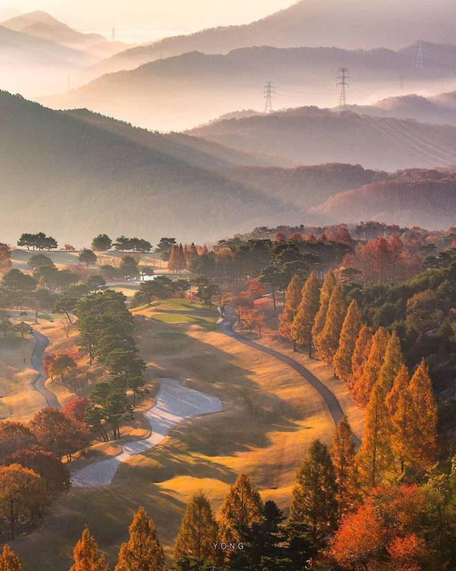 캐논 카메라로 촬영한 가을 풍경