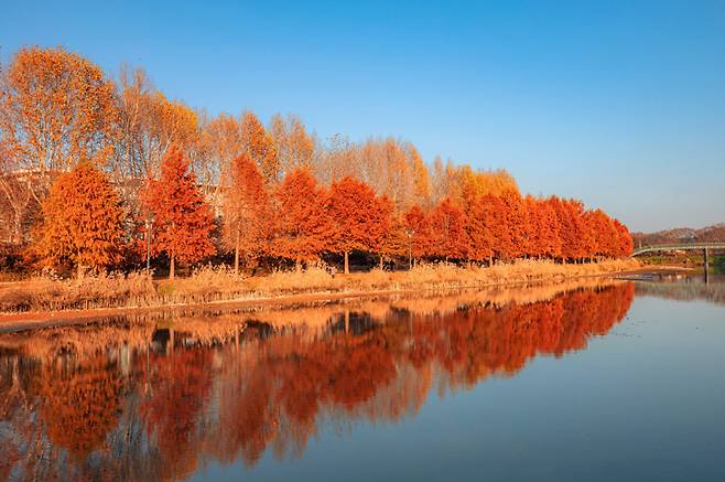 캐논 카메라로 촬영한 가을 풍경