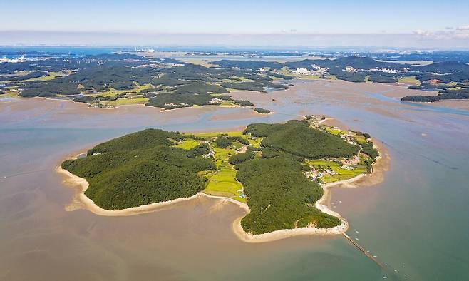 충남 서산시 가로림만에서 새해부터 4년 동안 갯벌식생 복원사업이 진행된다. 서산시 제공