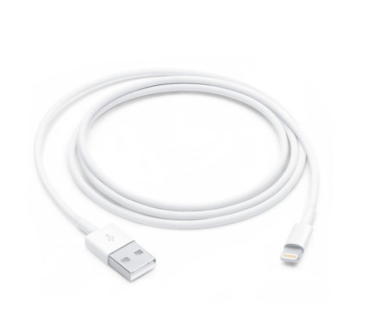 애플이 자체 개발해 아이폰 등 전자제품에 적용하고 있는 라이트닝 방식 충전 케이블. 애플스토어 캡처