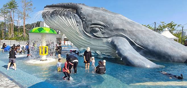 지난 여름 개장한 청주 생명누리공원 물놀이장
