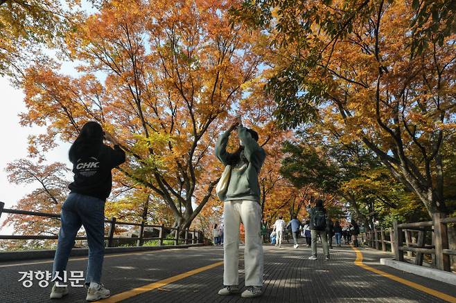 28일 서울 중구 남산에서 시민들이 붉게 물들어가는 단풍을 배경으로 깊어가는 가을을 즐기고 있다. 성동훈 기자