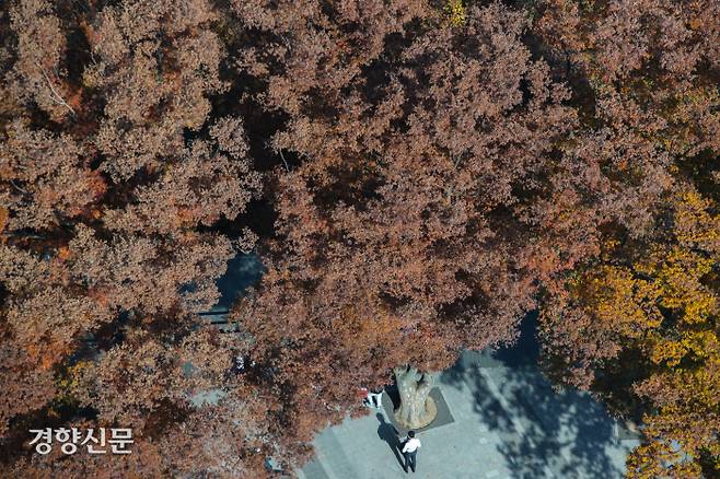 28일 서울 중구 남산에서 시민들이 붉게 물들어가는 단풍을 배경으로 깊어가는 가을을 즐기고 있다. 성동훈 기자