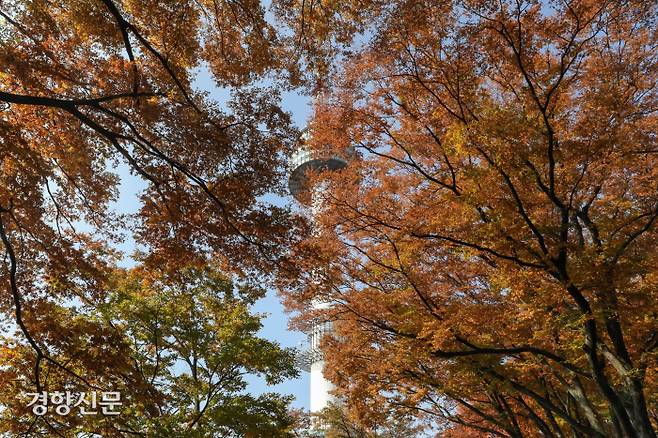28일 서울 중구 남산에서 붉게 물들어가는 단풍잎 사이로 N서울타워가 보이고 있다. 성동훈 기자