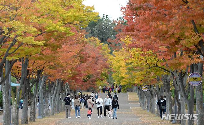 [울산=뉴시스] 배병수 기자 = 26일 오후 울산 남구 문수체육공원  산책로에 단풍이 붉게 물들어 시민들이 가을 분위기를 느끼고 있다. 2022.10.26. bbs@newsis.com