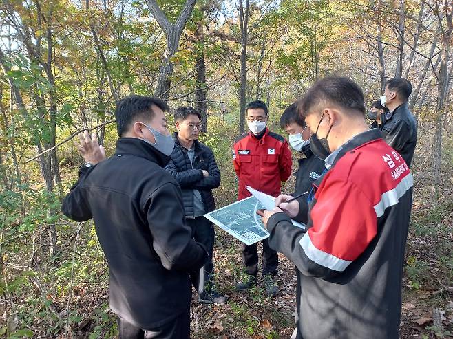 동부지방산림청이 지난 27일 삼척시 소나무재선충병 발생 현장인 등봉동 지역을 찾아 신규 발생 현황을 점검했다. 동부지방산림청 제공