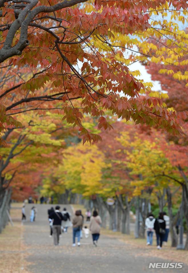 [울산=뉴시스] 배병수 기자 = 26일 오후 울산 남구 문수체육공원  산책로에 단풍이 붉게 물들어 시민들이 가을 분위기를 느끼고 있다. 2022.10.26. bbs@newsis.com