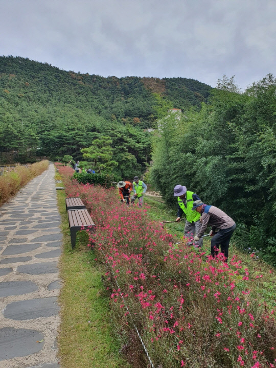 사진=서천군 제공