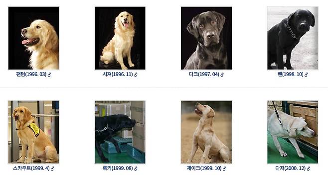 우리나라의 역대 마약 탐지견. (사진 출처=관세청 관세인재개발원 탐지견훈련센터 홈페이지 캡처)