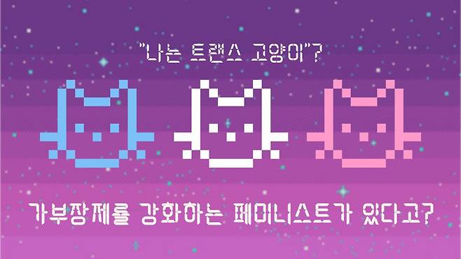 ▲ 한국다양성연구소 “성별을 왜 마음대로 바꾸나요? 그러면 저는 트랜스고양이 할래요!” 유튜브 갈무리. 사진=한국다양성연구소 유튜브 채널