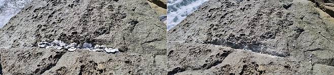 [서울=뉴시스]갯바위 낚시대 고정용 폐납 제거 전후(사진=국립공원공단 제공) *재판매 및 DB 금지 *재판매 및 DB 금지