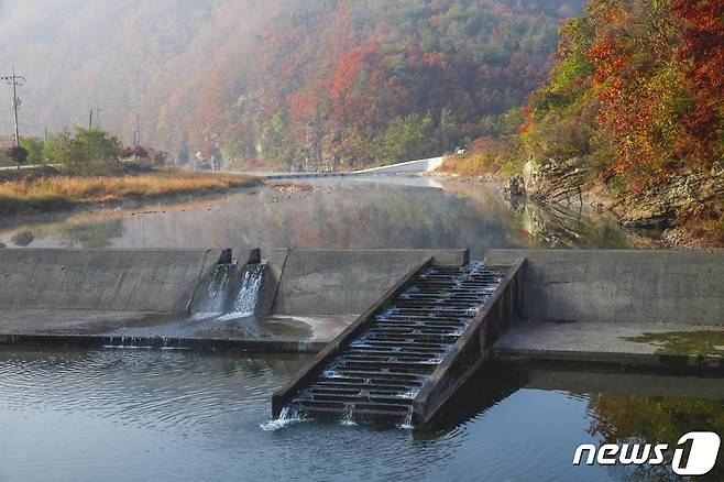 제5회 어도사진공모전 일반카메라부문 최우수상-김찬일 작 '어도의 가을' ⓒ News1