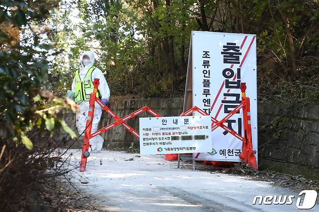 19일 오후 경북 예천군의 한 오리농장에서 발생한 고병원성 조류인플루엔자(AI) 확진과 관련해 가축위생방역지원본부 관계자들이 농장 입구를 통제하고 있다. 2022.10.19/뉴스1 ⓒ News1 공정식 기자