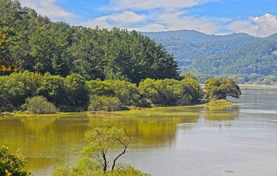 경남 창녕군 우포늪의 늦가을 풍경. 한국관광공사 제공