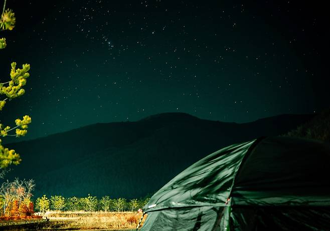 태백눈꽃야영장의 여름밤 [태백시 제공.재판매 및 DB 금지]