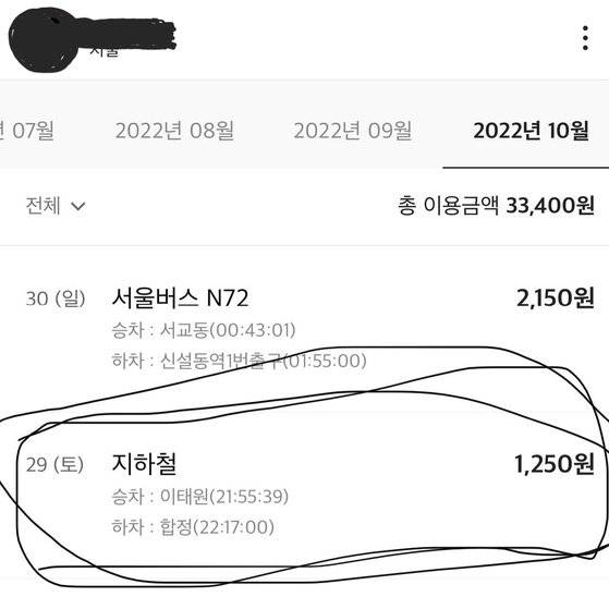 이태원 참사 유발자로 지목된 A씨가 사건 당일인 지난달 29일 자신의 대중교통 이용내역을 공개했다. 사진 A씨 인스타그램