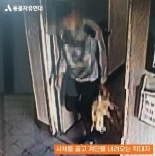 지난달 20일 전북 군산의 한 아파트에서 강아지를 죽인 뒤 아파트 복도에 방치한 10대 A군이 경찰에 입건됐다. 사진은 A군이 강아지 사체를 들고 아파트 계단을 내려오고 있는 모습. 사진 동물자유연대