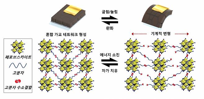 페로브스카이트-고분자 혼합 가교 네트워크 형성에 따른 기계적 변형에 대한 안정성 및 자가 치유 매커니즘.[한양대학교 제공]