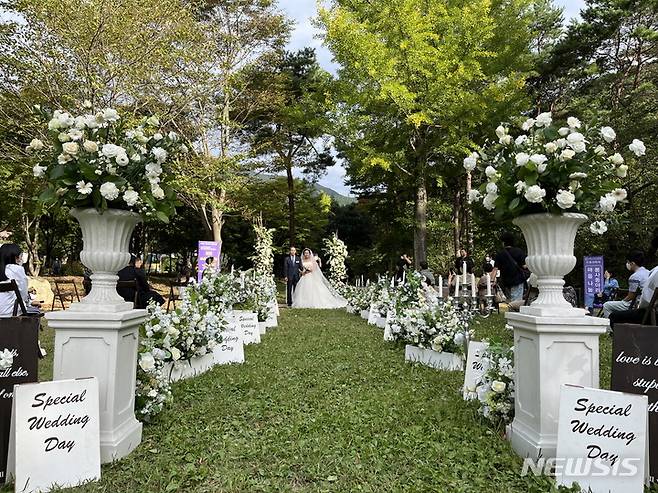 [서울=뉴시스] 결혼식. 해당 사진은 기사 내용과 관련이 없습니다. (사진=뉴시스 DB). photo@newsis.com *재판매 및 DB 금지