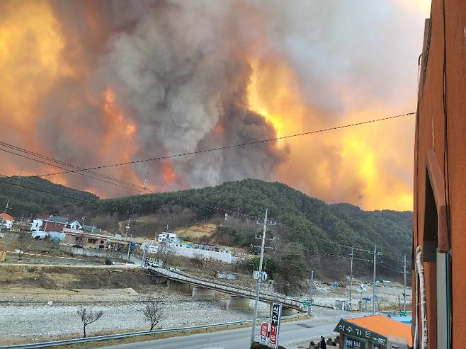 울진 산불. 독자 제공