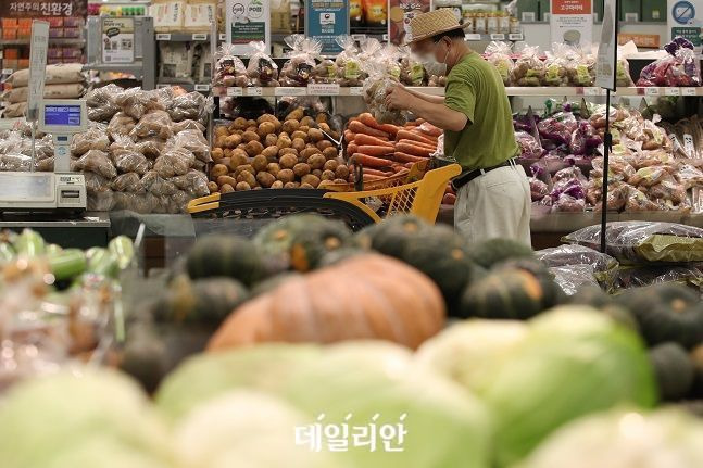 고물가 상황이 계속되는 가운데 서울 시내의 한 대형마트에 시민들이 장을 보고 있다. ⓒ데일리안 DB