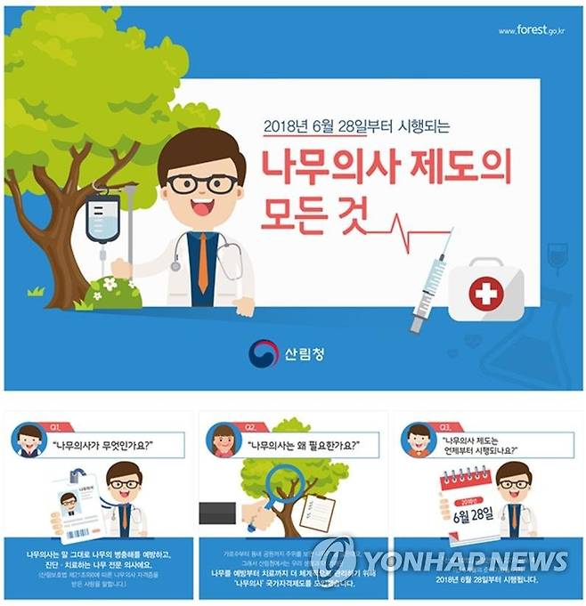 나무 의사 제도 [산림청 제공]