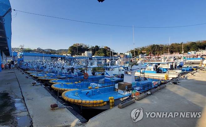 동해안 최북단 대진항 어선들 (강원 고성=연합뉴스) 북한의 탄도미사일 발사로 동해 최북단 저도어장 출어 어선들의 조기 철수 조처가 내려진 2일 어장에 출어했던 어선들이 고성 대진항에 정박해 있다.
    2022.11.2
    [독자 제공ㆍ재판매 및 DB 금지] momo@yna.co.kr