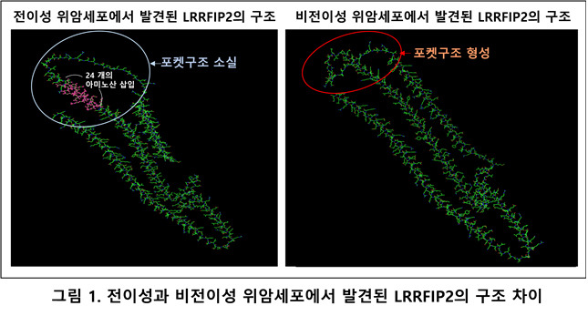 자료제공 : 메드팩토