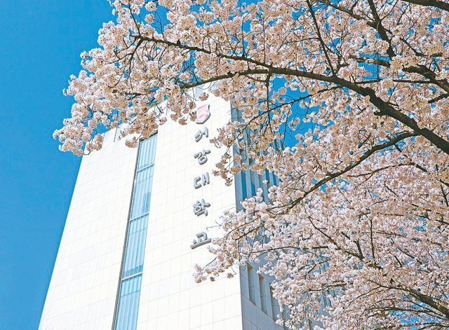 서강대학교.