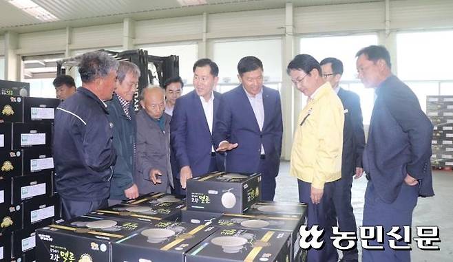 전북 고창군과 선운산농협 관계자들이 1일 선운산농협 농산물산지유통센터(APC)에서 수출 멜론을 살펴보고 있다.