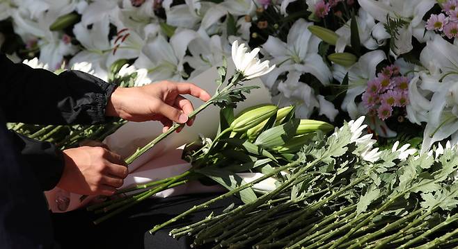 31일 서울광장에 마련된 이태원 사고 사망자 합동분향소를 찾은 추모객이 헌화하고 있다. 뉴스1