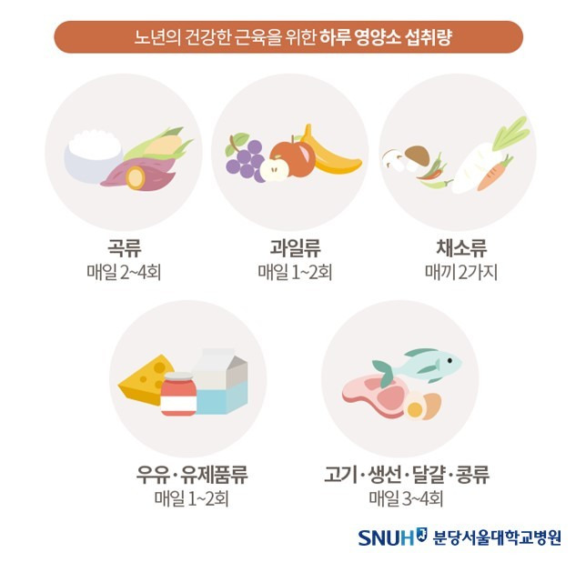 노년기가 되면 근육 유지에 도움이 되는 음식들을 꾸준히 섭취하는 것이 중요하다. (분당서울대병원 제공)