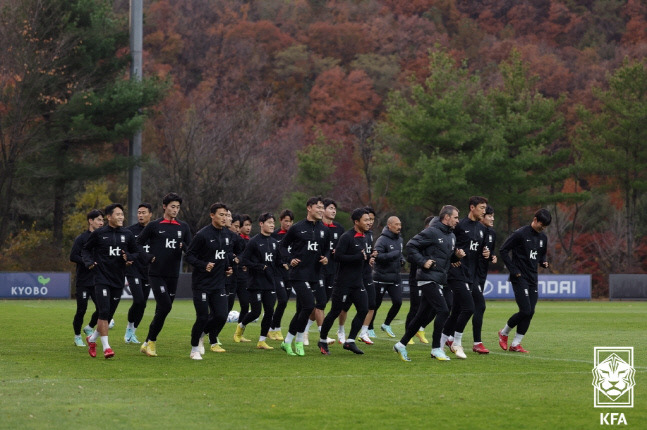 제공 | 대한축구협회