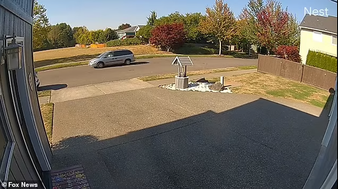 미국 워싱턴 주에서 한인 여성이 남편에 납치당해 생매장됐다가 가까스로 무덤을 파고 나와 목숨을 건졌다 / 사진 = 영국 데일리 메일