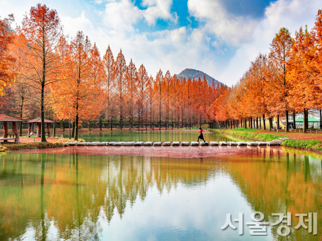 금상 ‘메타길 징검다리’(스마트폰)